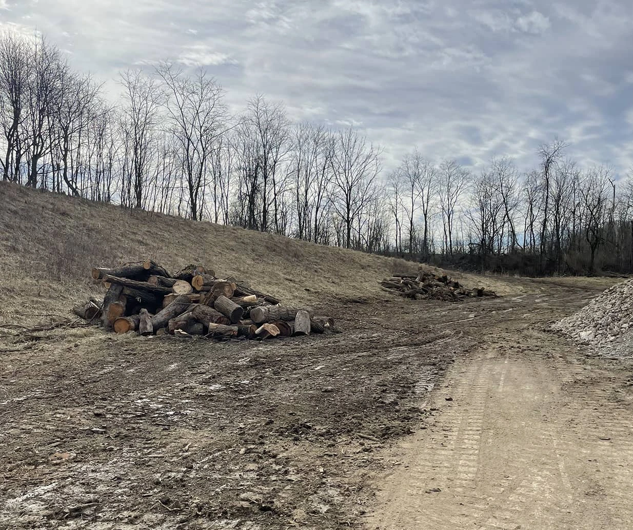 Landing area with firewood left on-site