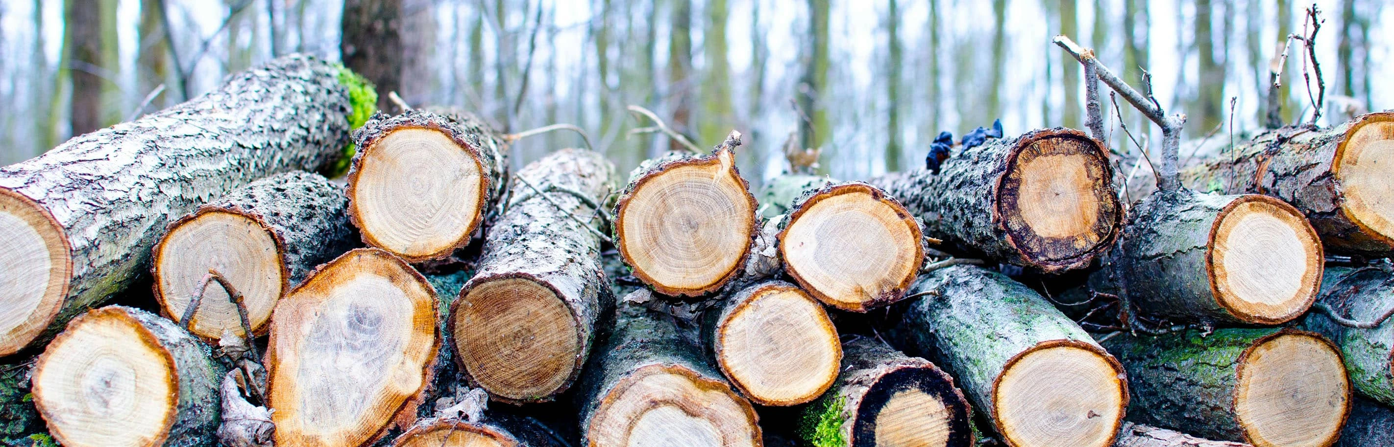 logs stacked landscape banner