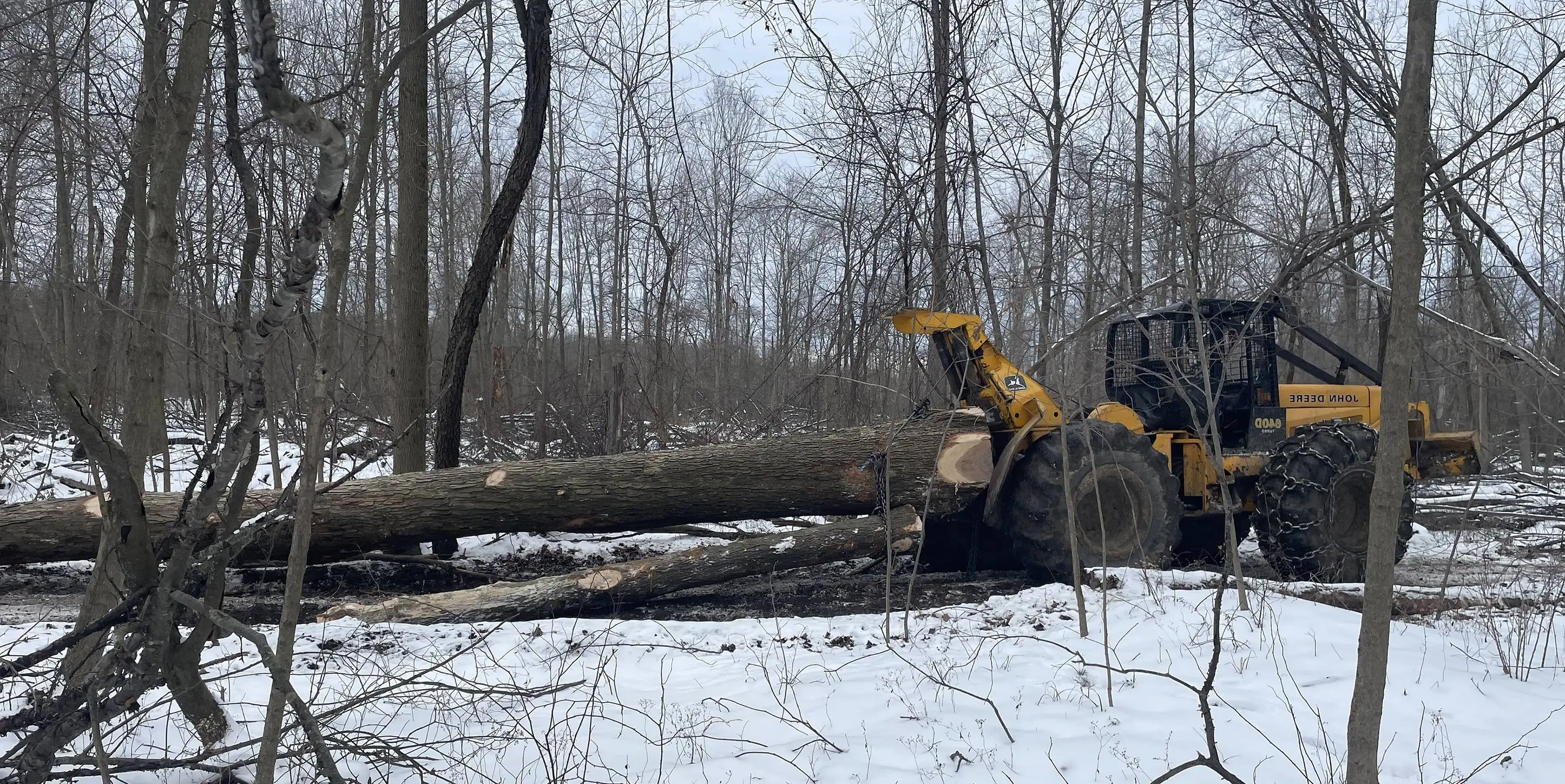 skidder hero action photo