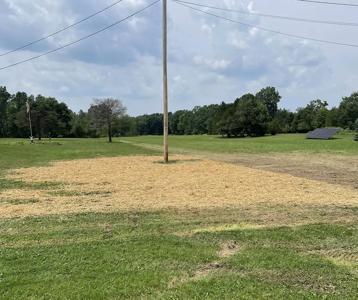 landing directly after harvest leveled out with straw